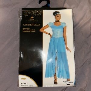 Cinderella costume